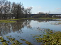 Hochwasser 1.2011 012