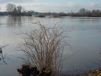 Hochwasser 1.2011 016