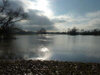 Hochwasser 1.2011 030